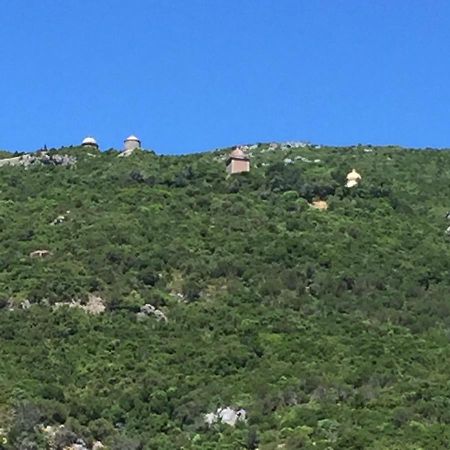 Вілла Casa Do Farol Da Arrabida Портіню-да-Аррабіда Екстер'єр фото